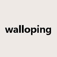 walloping是什么意思