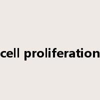cell proliferation是什么意思