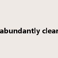 abundantly clear是什么意思