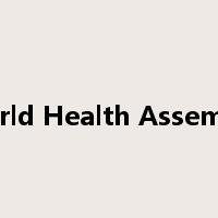 World Health Assembly是什么意思