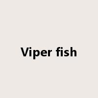 Viper fish是什么意思
