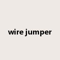 wire jumper是什么意思