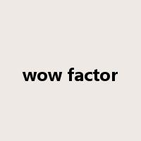 wow factor是什么意思