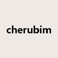 cherubim是什么意思