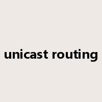 unicast routing是什么意思