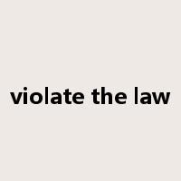 violate the law是什么意思