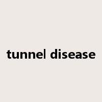tunnel disease是什么意思