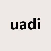 uadi是什么意思