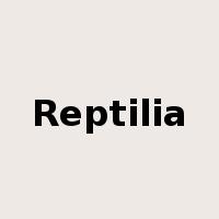 Reptilia是什么意思