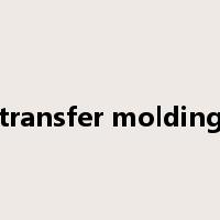 transfer molding是什么意思