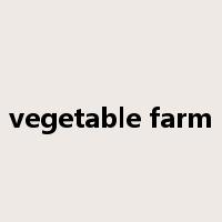 vegetable farm是什么意思