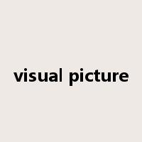 visual picture是什么意思