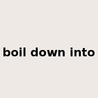 boil down into是什么意思