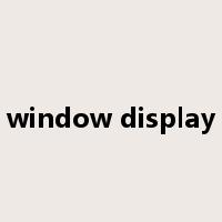window display是什么意思