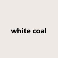 white coal是什么意思