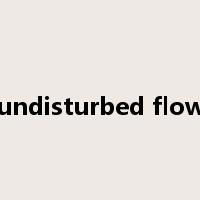 undisturbed flow是什么意思