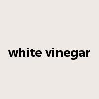 white vinegar是什么意思