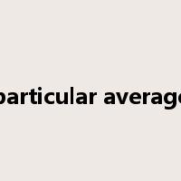 particular average是什么意思