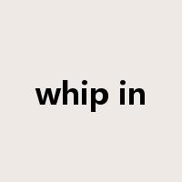 whip in是什么意思