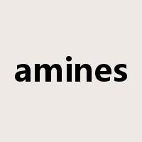 amines是什么意思