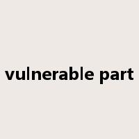 vulnerable part是什么意思
