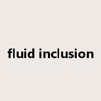 fluid inclusion是什么意思
