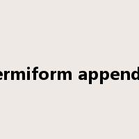 vermiform appendix是什么意思