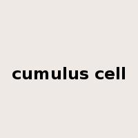 cumulus cell是什么意思