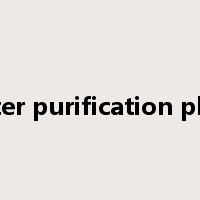 water purification plant是什么意思