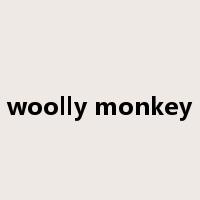 woolly monkey是什么意思