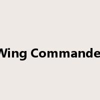 Wing Commander是什么意思