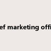 chief marketing officer是什么意思
