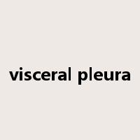 visceral pleura是什么意思