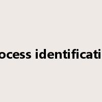 process identification是什么意思
