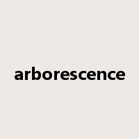 arborescence是什么意思