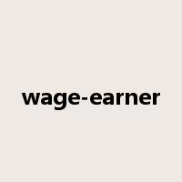 wage-earner是什么意思