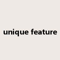 unique feature是什么意思