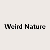 Weird Nature是什么意思