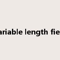 variable length field是什么意思