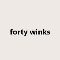 forty winks是什么意思