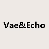 Vae&Echo是什么意思