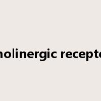 cholinergic receptor是什么意思