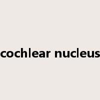 cochlear nucleus是什么意思
