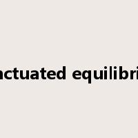 punctuated equilibrium是什么意思