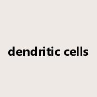 dendritic cells是什么意思