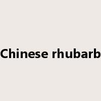 Chinese rhubarb是什么意思