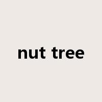 nut tree是什么意思