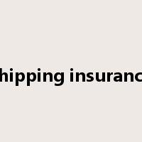 shipping insurance是什么意思