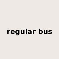 regular bus是什么意思