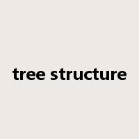 tree structure是什么意思